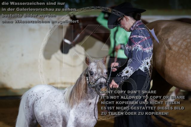 s_K3F08601.JPG